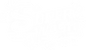 Super Wash Club Cards - Home